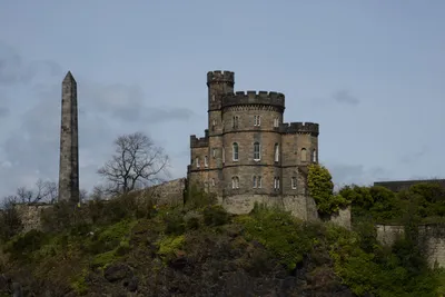 DSC_7356 (Large).JPG